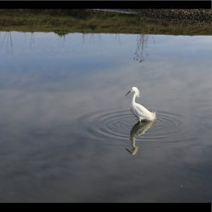 Meet your Posher, Carmen